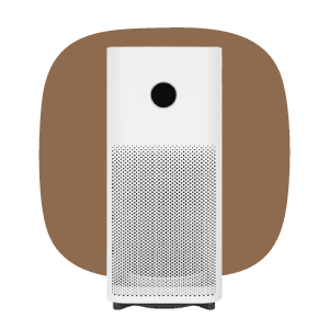 Đánh Bay Nồm Ẩm